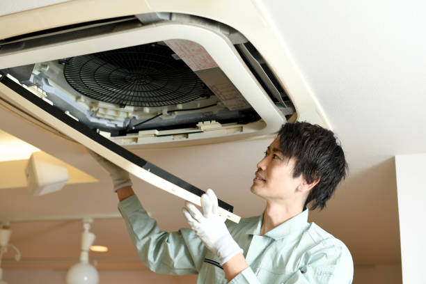 Best Affordable Air Duct Cleaning  in Chicago Heights, IL